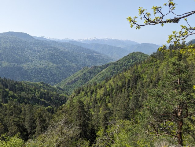 Sfeerafbeelding Hiken in het Borjomi Kharagauli Nationaal Park